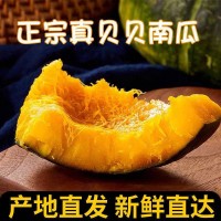 【菜鳥(niǎo)自有品牌】貝貝南瓜